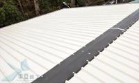 Q10811023-10.jpg